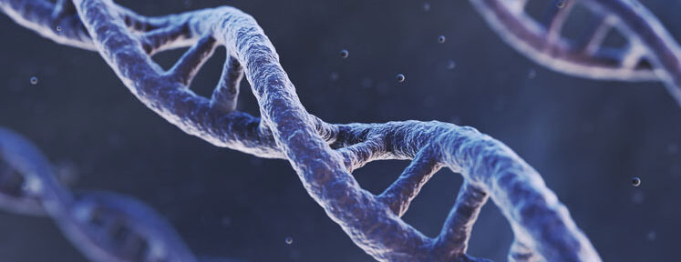 dna helix
