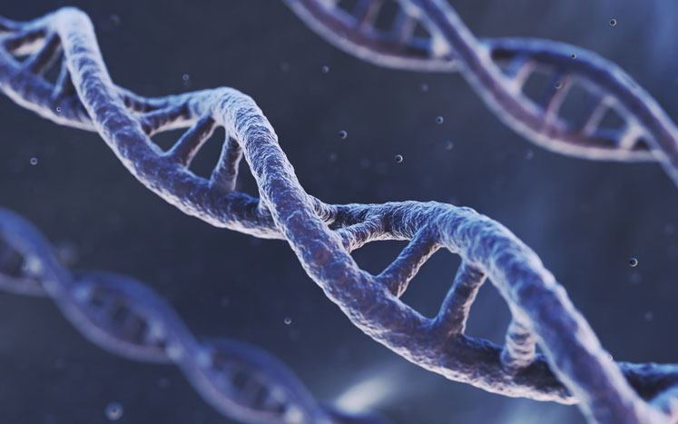 dna helix