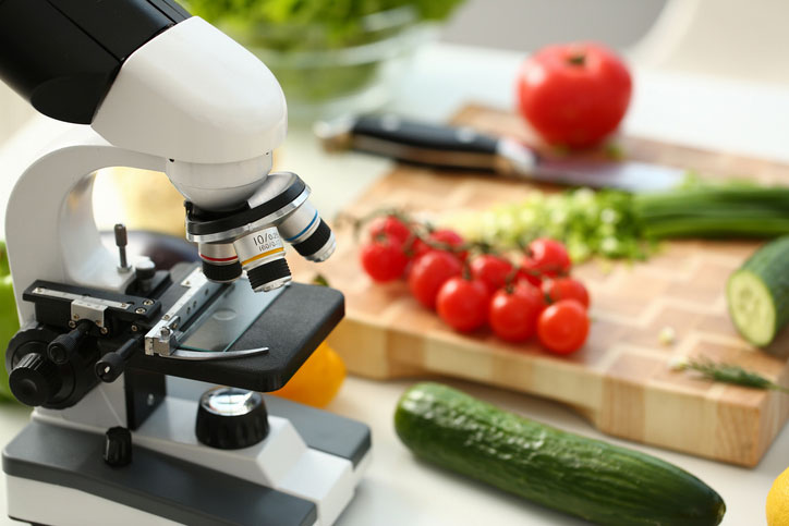 using microscope to look at food