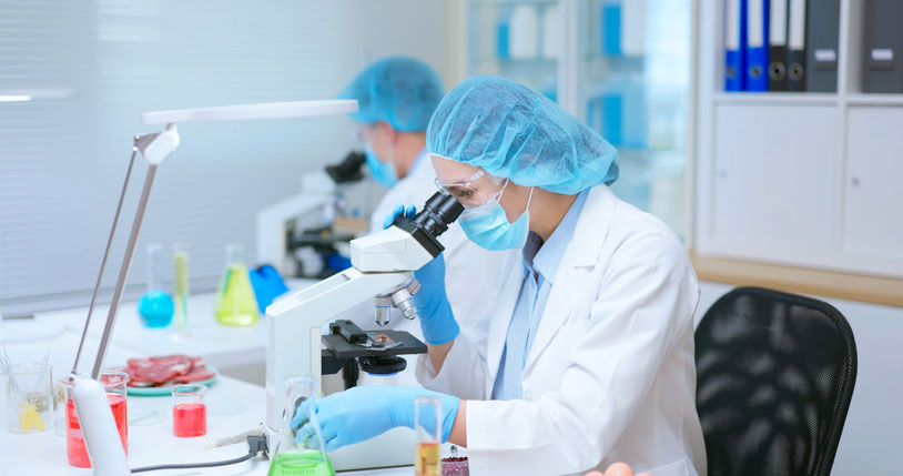 food safety scientists in lab